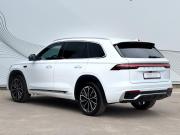 Geely Monjaro I Рестайлинг Воронеж  - изображение 35