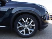 Hyundai Palisade I Владимир  - изображение 63