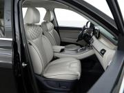 Hyundai Palisade I Москва  - изображение 41