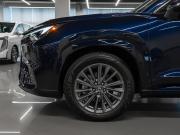 Lexus TX Москва  - изображение 54