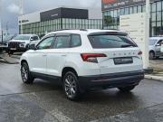 Skoda Karoq I Чебоксары  - изображение 33
