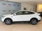 Renault Arkana I Москва  - изображение 25