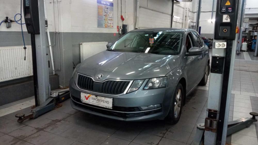 Skoda Octavia III (A7) Рестайлинг Санкт-Петербург  - изображение 1