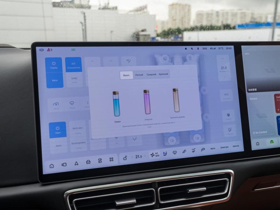 Li Auto (Lixiang) L9 I Рестайлинг Москва  - изображение 25