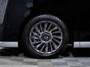 GAC M8 Москва  - изображение 39