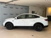 Renault Arkana I Москва  - изображение 25