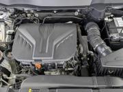 Haval Dargo Москва  - изображение 39