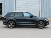 Audi Q5 I (8R) Рестайлинг Санкт-Петербург  - изображение 32
