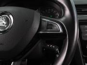 Skoda Octavia III (A7) Воронеж  - изображение 33