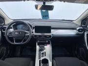 Belgee X50 Санкт-Петербург  - изображение 36