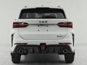 SWM G01F Москва  - изображение 24