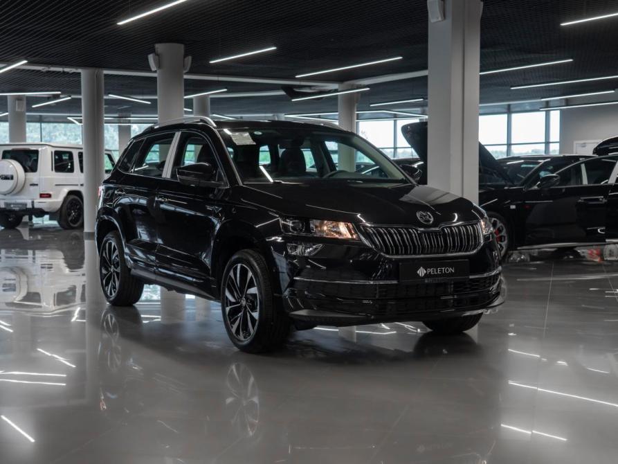 Skoda Karoq I Москва  - изображение 2