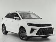 SWM G01F Москва  - изображение 22