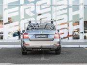 Skoda Octavia III (A7) Краснодар  - изображение 23