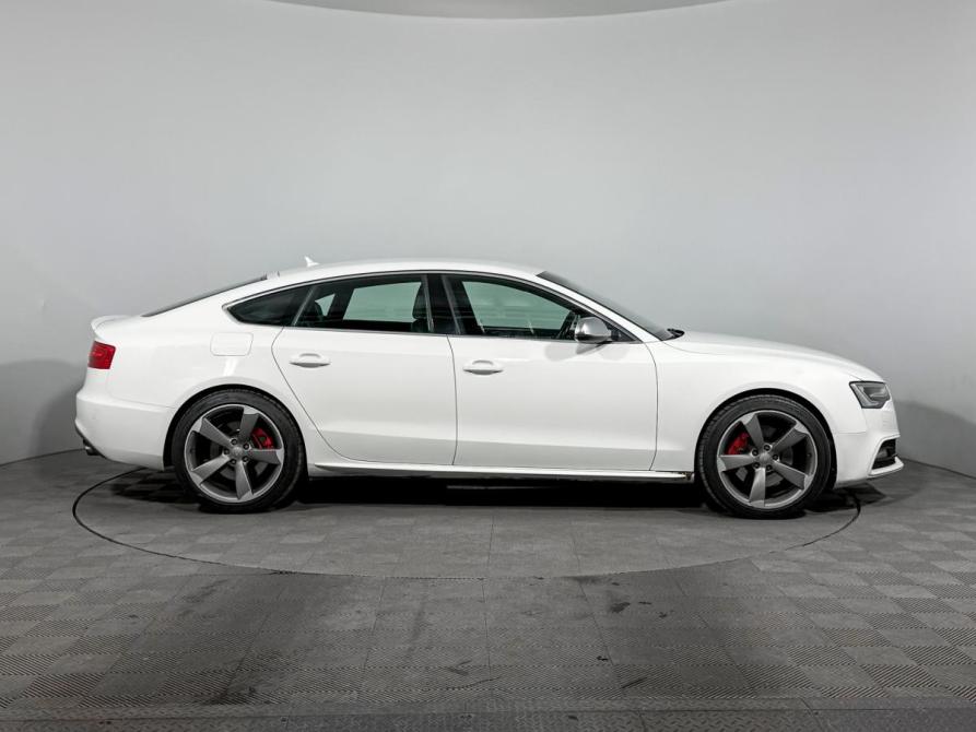 Audi S5 I (8T) Рестайлинг Санкт-Петербург  - изображение 4