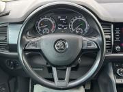 Skoda Kodiaq I Пермь  - изображение 31