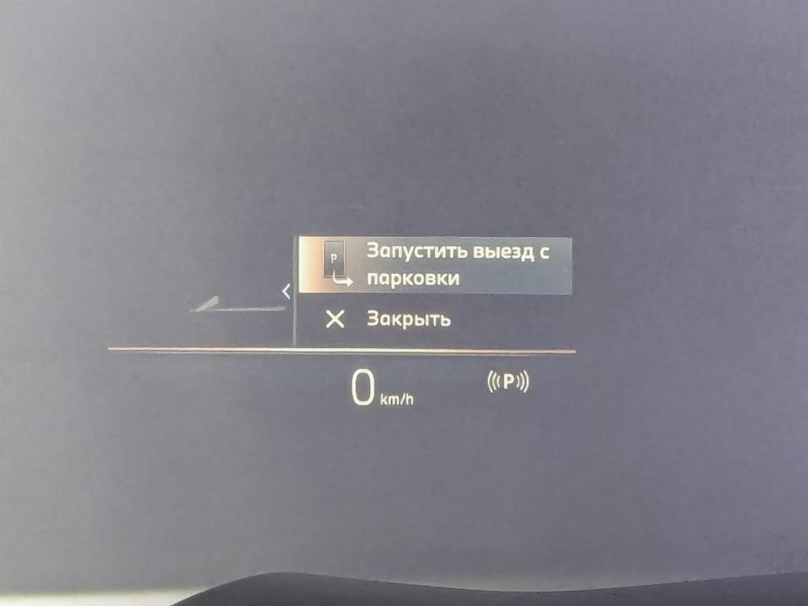 BMW X5 IV (G05/G18) Рестайлинг Москва  - изображение 30