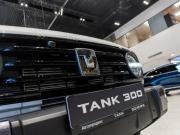 Tank 300 I Санкт-Петербург  - изображение 45