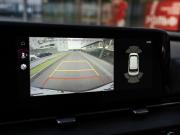 Kia Carnival IV Санкт-Петербург  - изображение 52