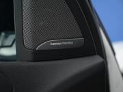 BMW X7 I (G07) Москва  - изображение 51