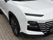 JETOUR DASHING I Череповец  - изображение 19