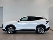 JETOUR DASHING I Волгоград  - изображение 48