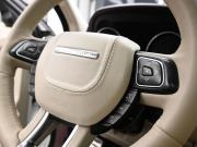 Land Rover Range Rover Evoque I Ростов-на-Дону  - изображение 46