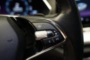 Skoda Octavia IV (A8) Крым  - изображение 41