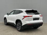 JETOUR DASHING I Тамбов  - изображение 26