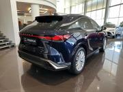 Lexus RX V Казань  - изображение 28
