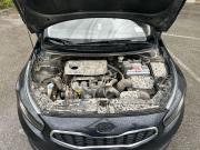 Kia Ceed II Рестайлинг Пермь  - изображение 17