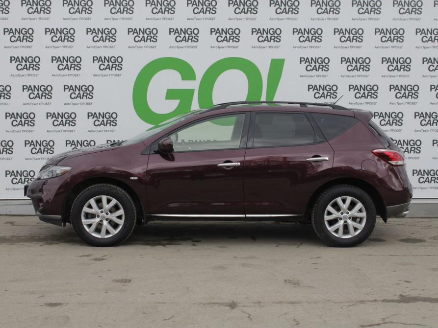 Nissan Murano II (Z51) Рестайлинг 2 Владимир  - изображение 8