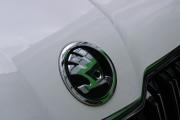 Skoda Kamiq I (China Market) Москва  - изображение 51