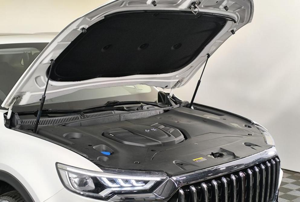 Hongqi HS5 I Нижний Новгород  - изображение 19