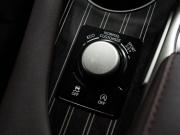 Lexus RX IV Иркутск  - изображение 51
