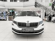 Skoda Kodiaq I Казань  - изображение 24