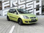 Ford Fiesta Mk5 Ставрополь  - изображение 17