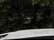 Land Rover Range Rover Sport III Самара  - изображение 57