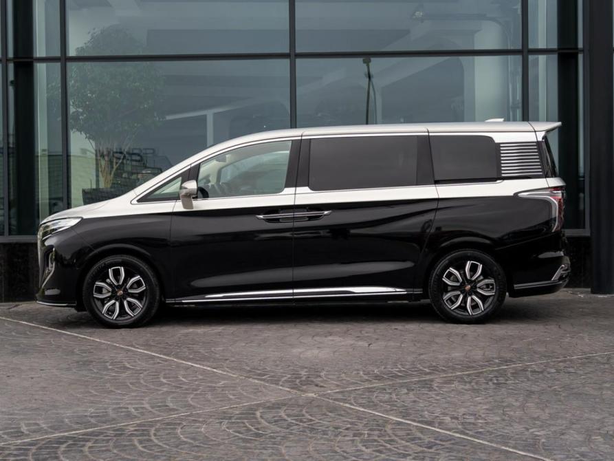 Hongqi HQ9 Сочи  - изображение 6