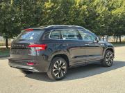Skoda Karoq I Казань  - изображение 38