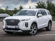 Hyundai Palisade I Москва  - изображение 20