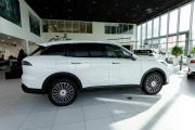 Chery Tiggo 9 I Москва  - изображение 19