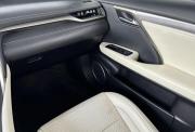Lexus RX IV Киров  - изображение 47