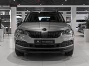 Skoda Karoq I Москва  - изображение 27