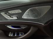 Mercedes-Benz CLS III (C257) Москва  - изображение 43