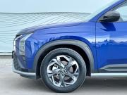 Hyundai Mufasa I (NU2) Воронеж  - изображение 25