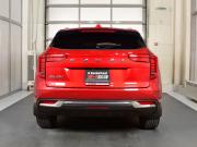 Haval Jolion I Кемерово  - изображение 34