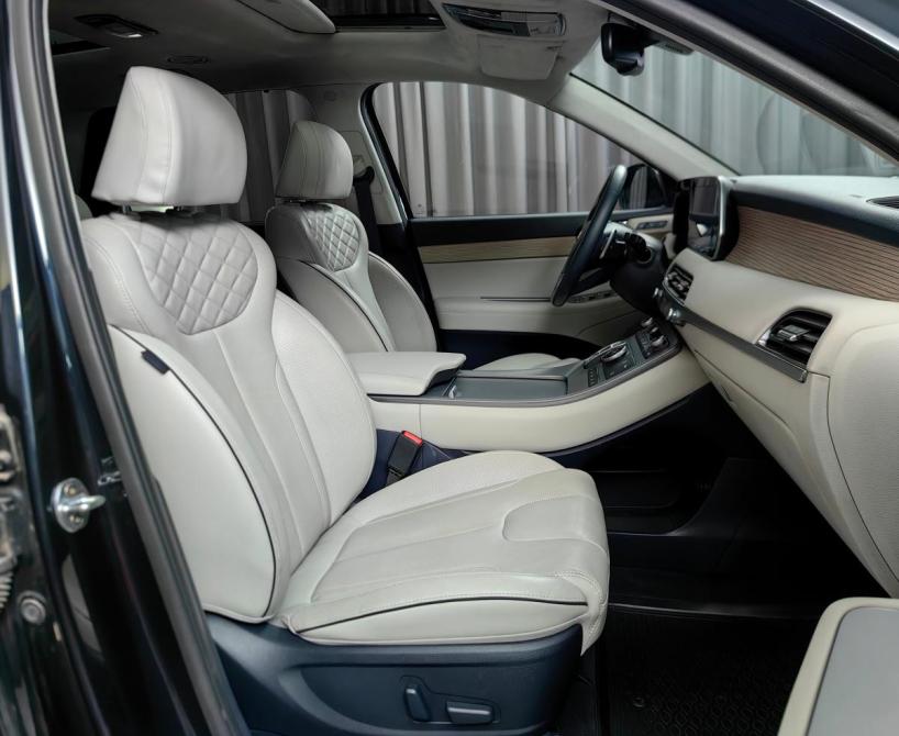 Hyundai Palisade I Москва  - изображение 8
