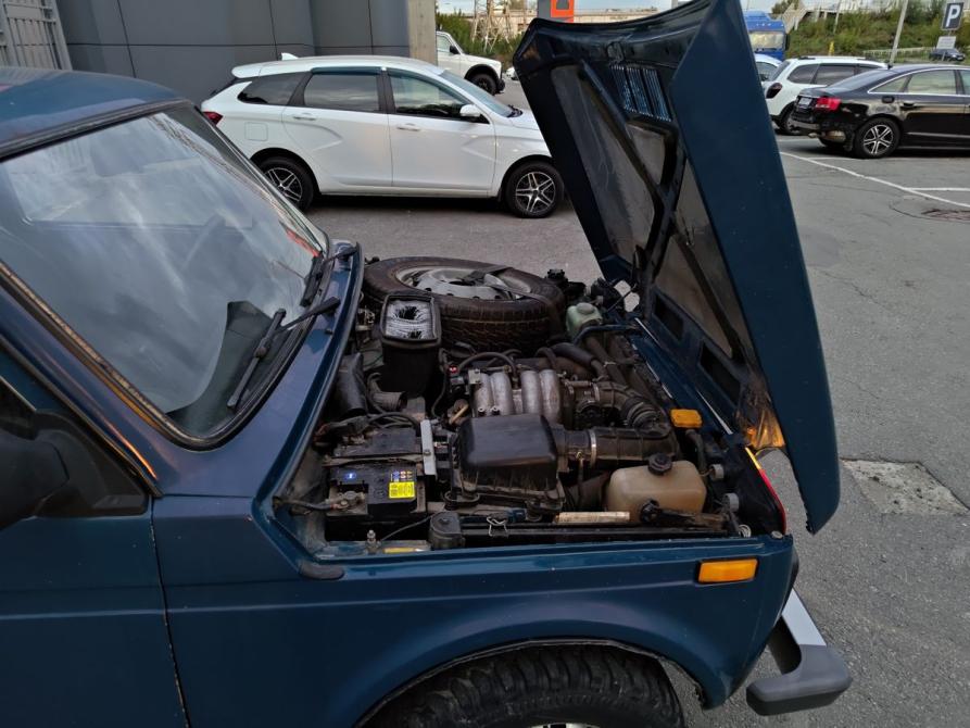 Lada (ВАЗ) 2121 (4x4) I Рестайлинг Челябинск  - изображение 12