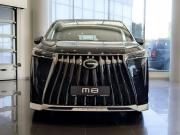 GAC M8 Москва  - изображение 9